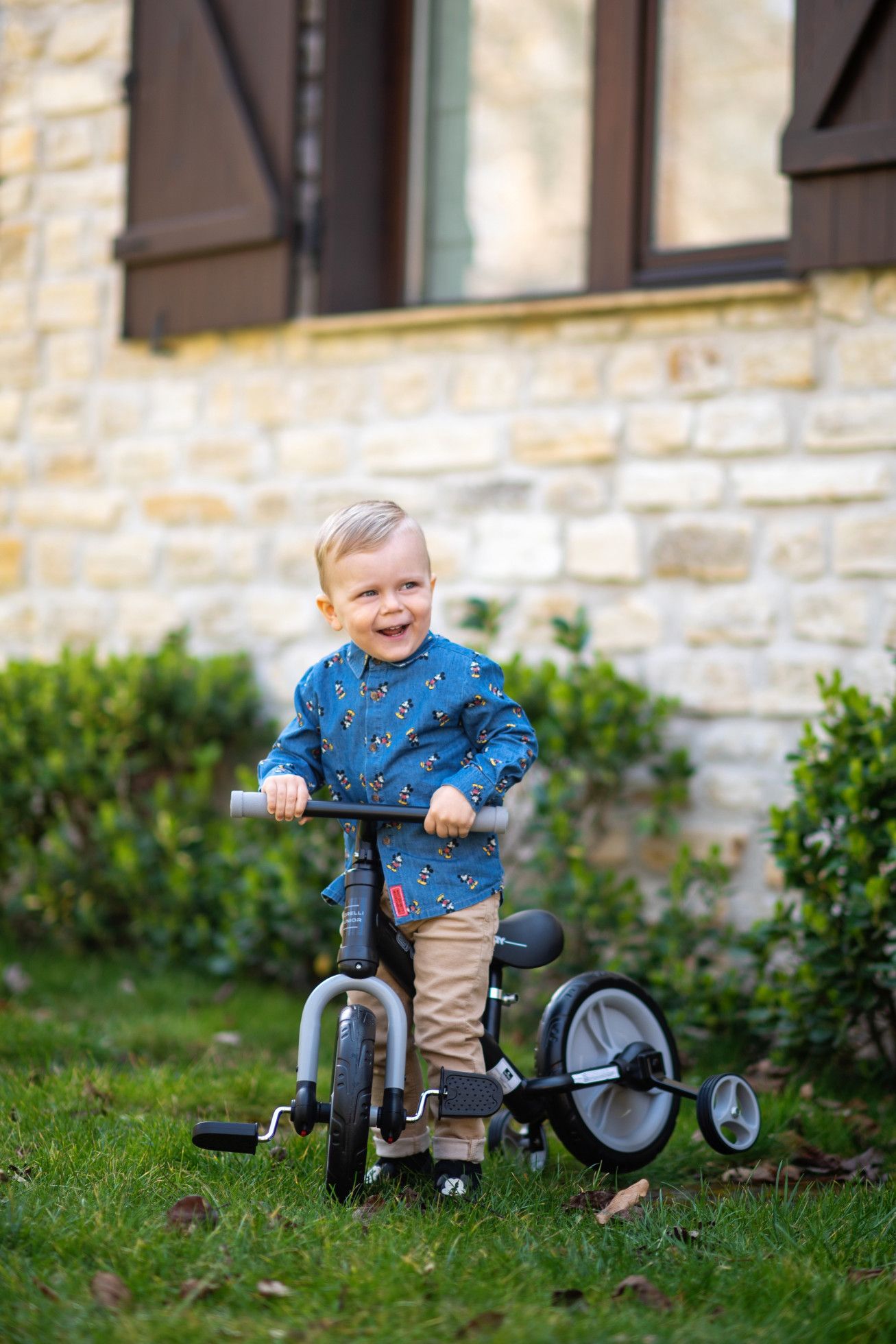 Bicicleta Energy cu pedale si roti ajutatoare Red - Lorelli Junior 9