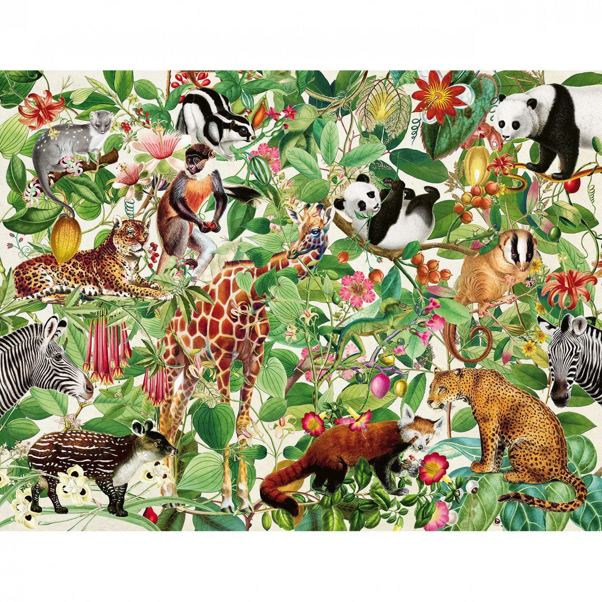 Puzzle jungla 2000 piese - Ravensburger 2